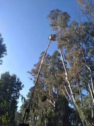 Trabajo de izaje y transporte en terreno, foto 66 de 109